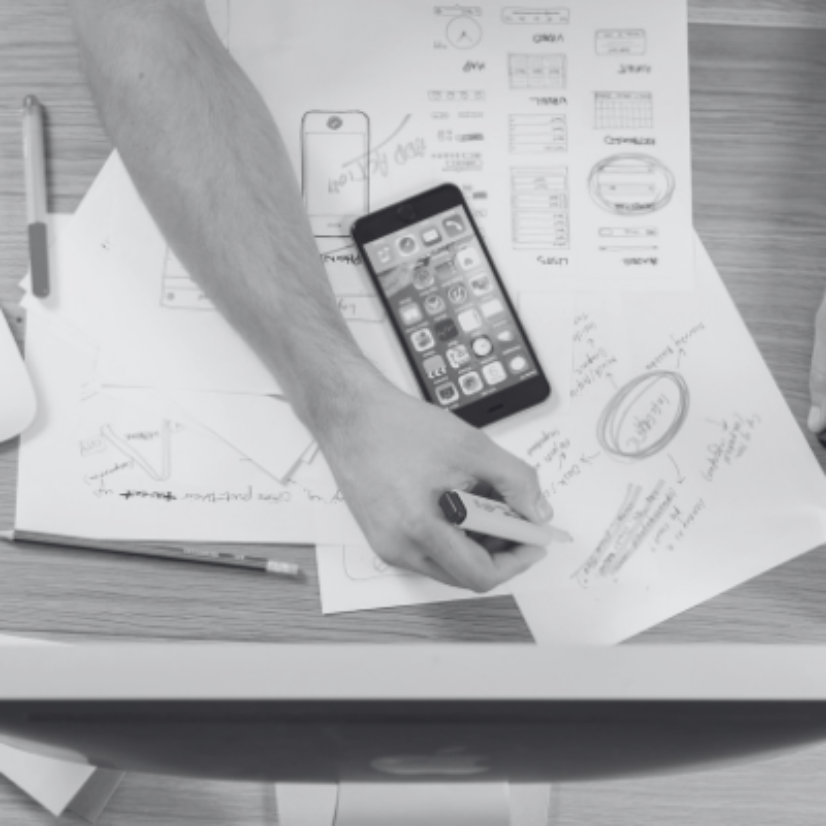 Develop a Strategy and Program Plan​