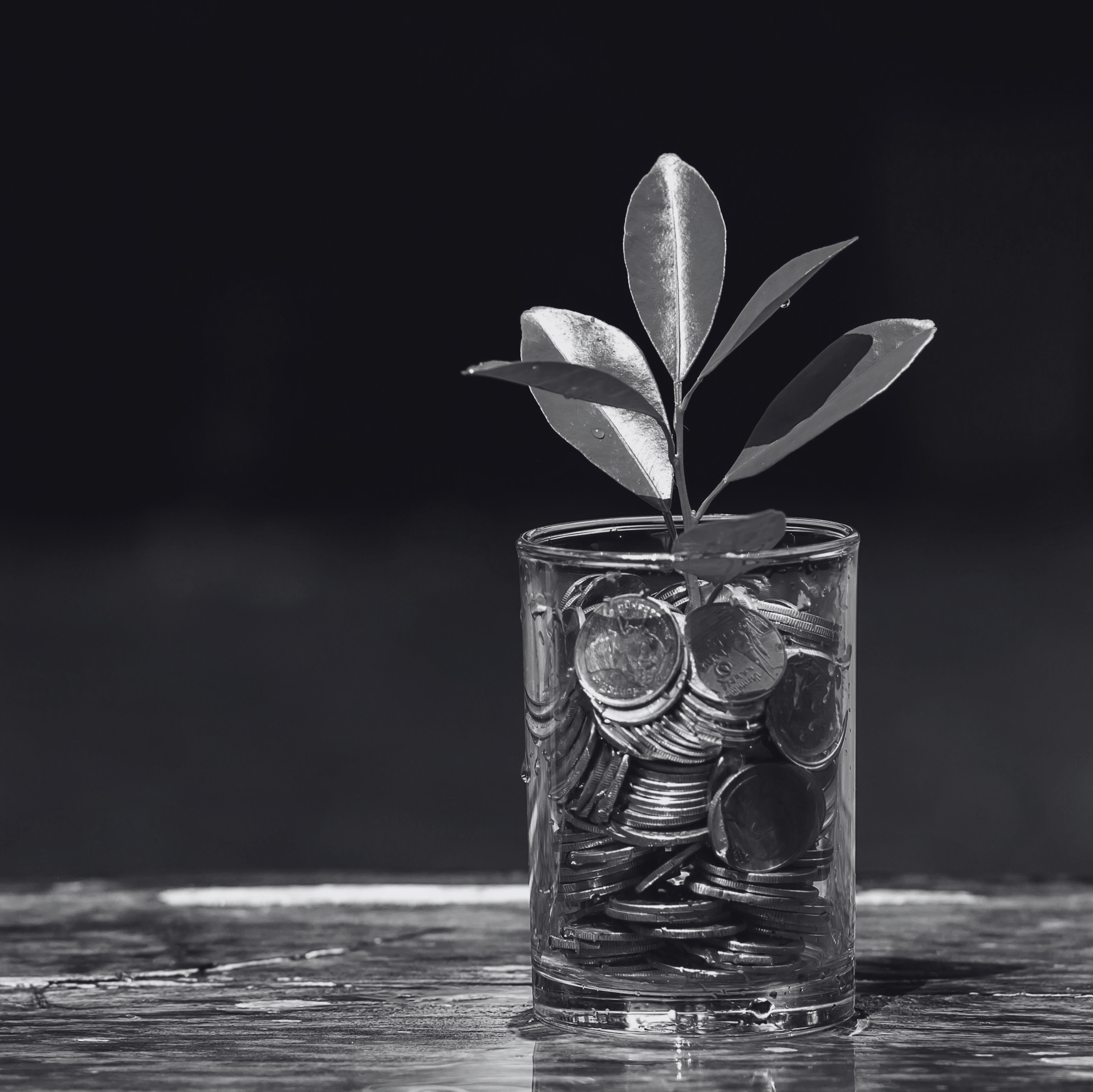 Embedding Forward Visibility For Investment